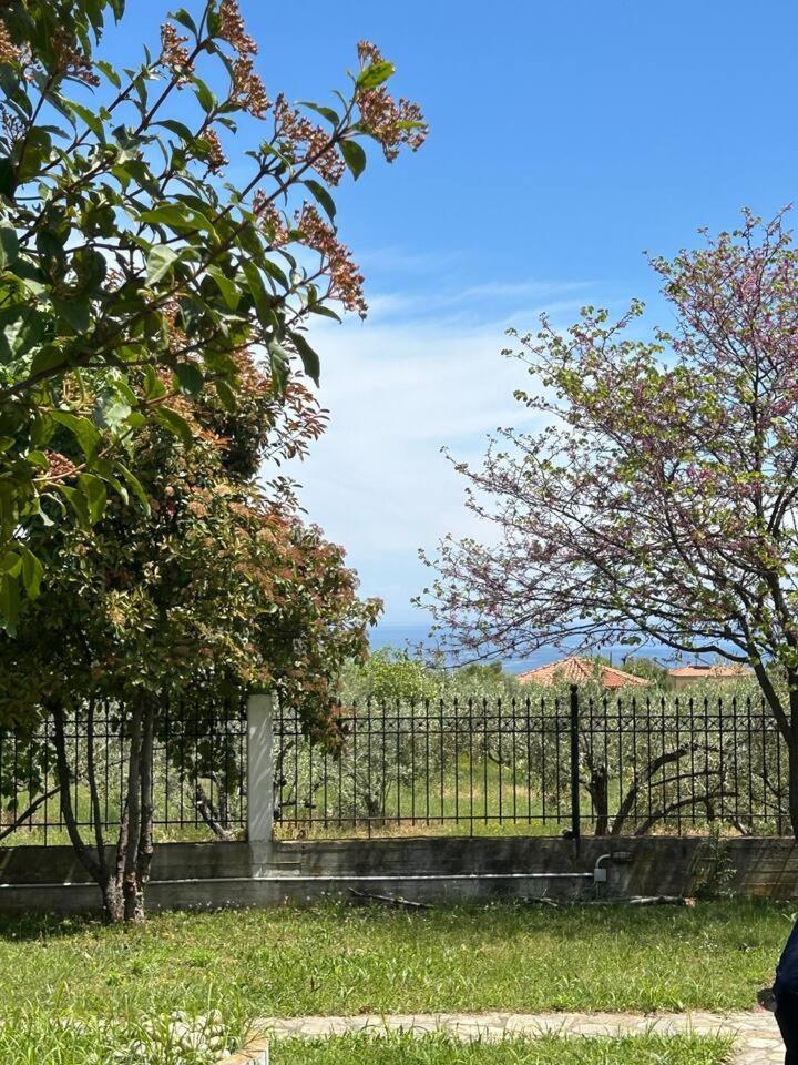 Zeusplace Karia Villa Natura Leptokariá Kültér fotó